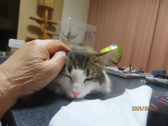 テーブル上③なでくり