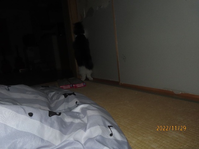 六時襖バリバリ