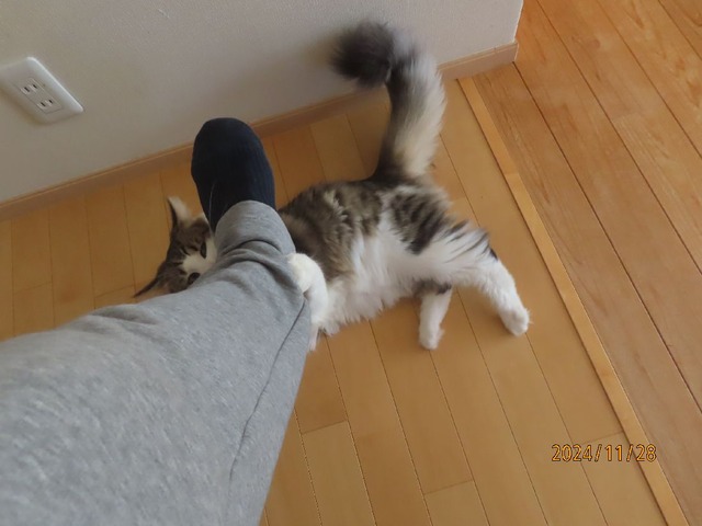 おかえりホールド②