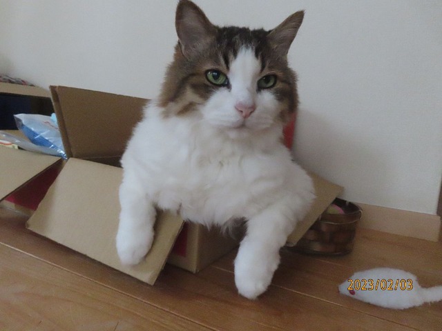 おはようございまっする
