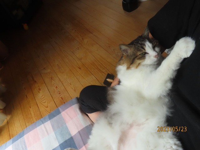 おしまい抱っこ