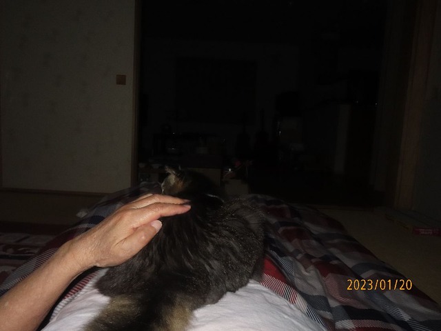 よしよし