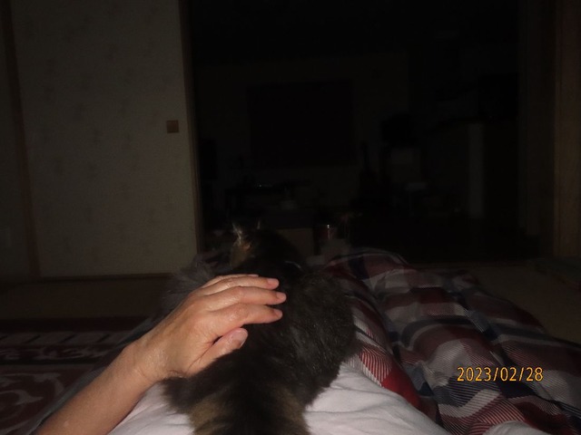 一時よしよし