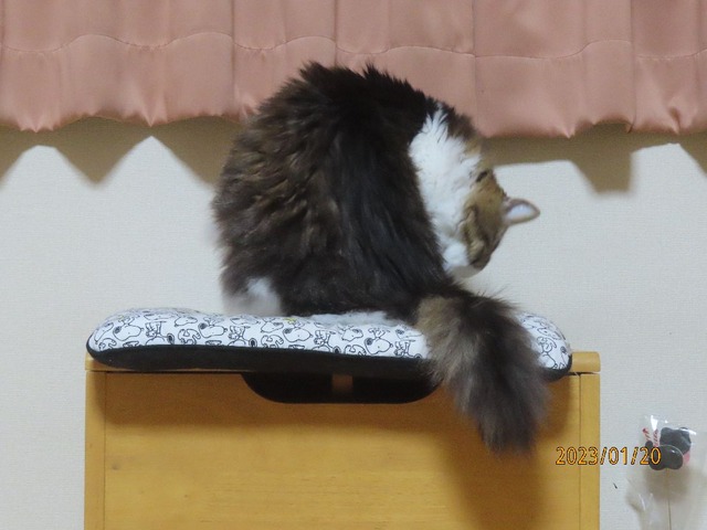 椅子へ