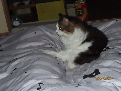 もぞもぞ・・・