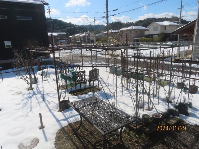地面が見えて来た