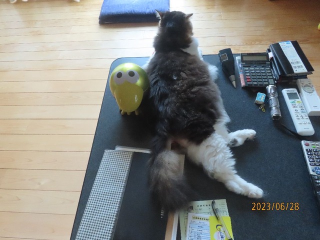 帰宅よんリラックス