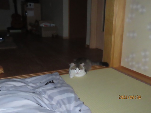 一時半①