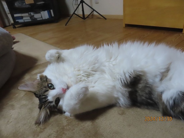 食後①