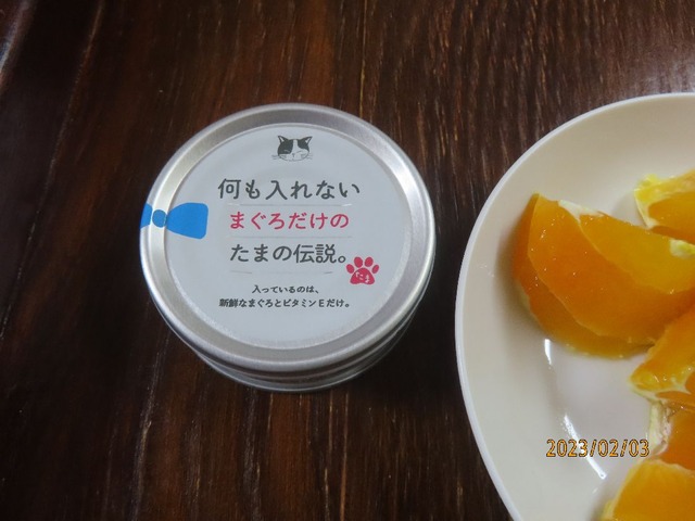 たま伝
