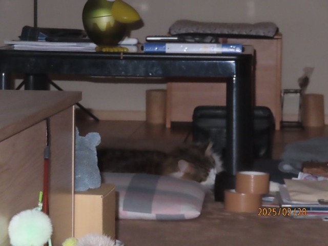 一時半テーブル下