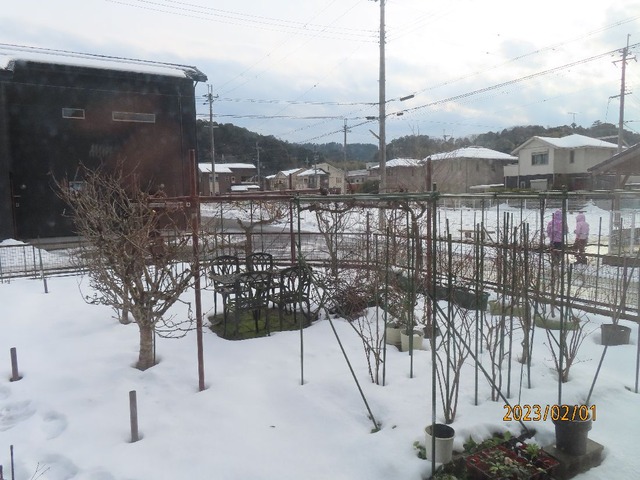 二時半庭