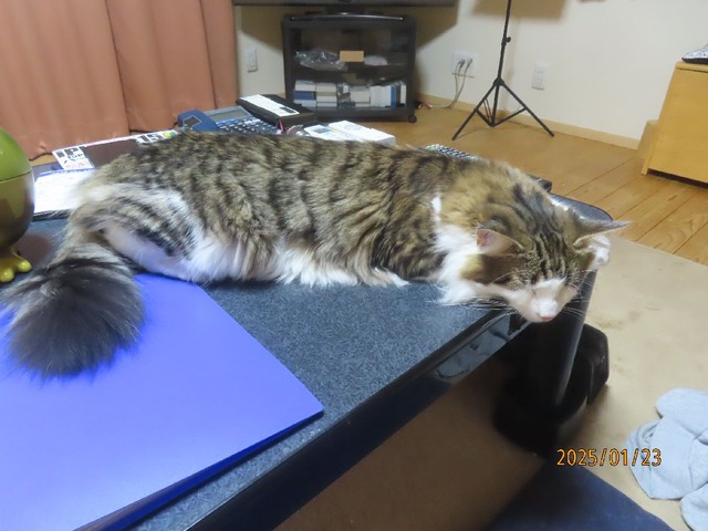 九時過ぎテーブル