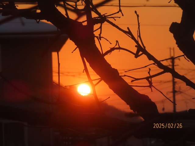 夕陽