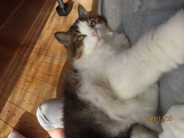 おしまい抱っこ