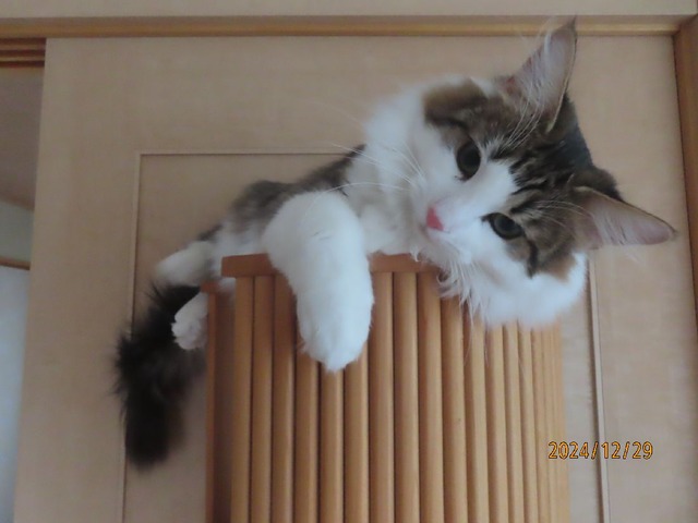タワー