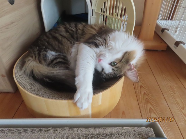 ボウルで休憩