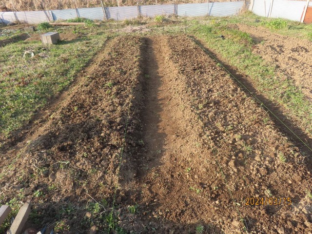 ジャガイモ部分