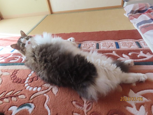 お昼にしよか
