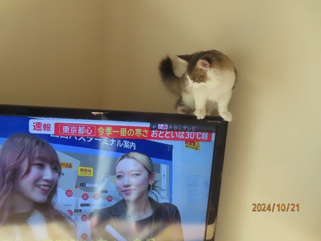テレビ③