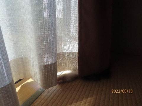 和室南