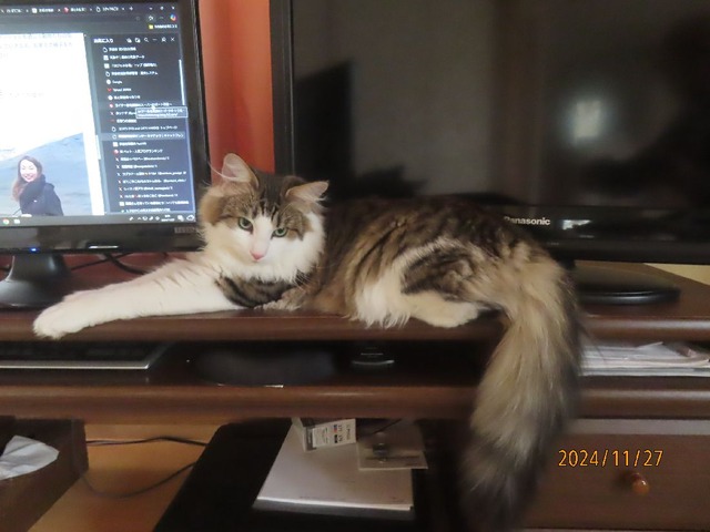 大きくなったね