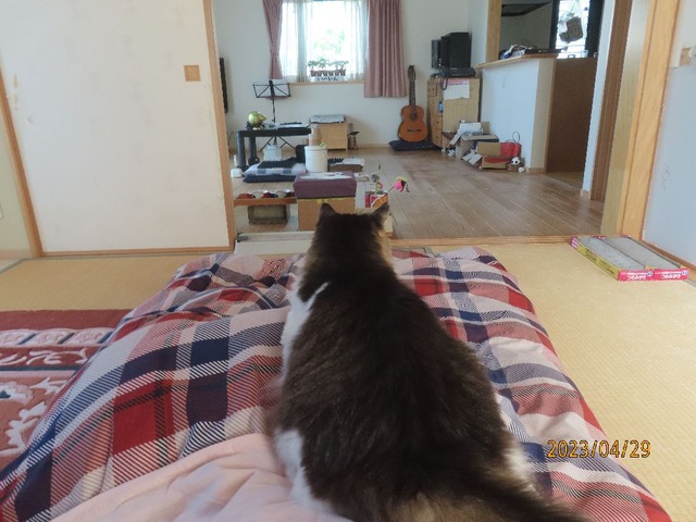 七時半どす