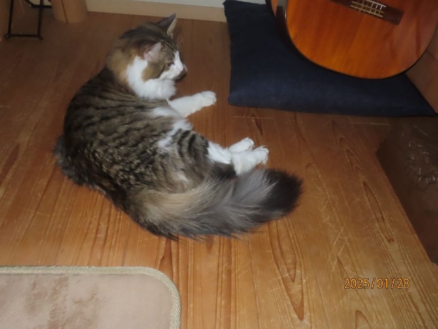 起こしてしまいました