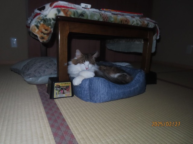 すんなりベッド