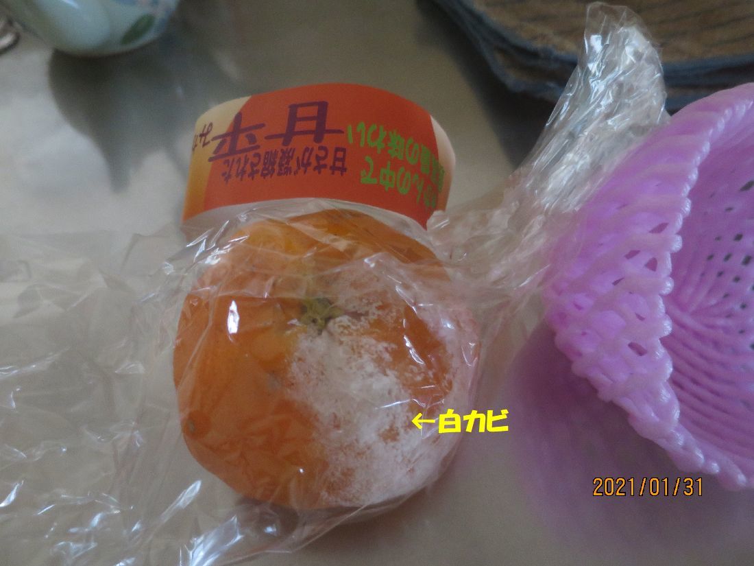 f84ae0f6.jpg