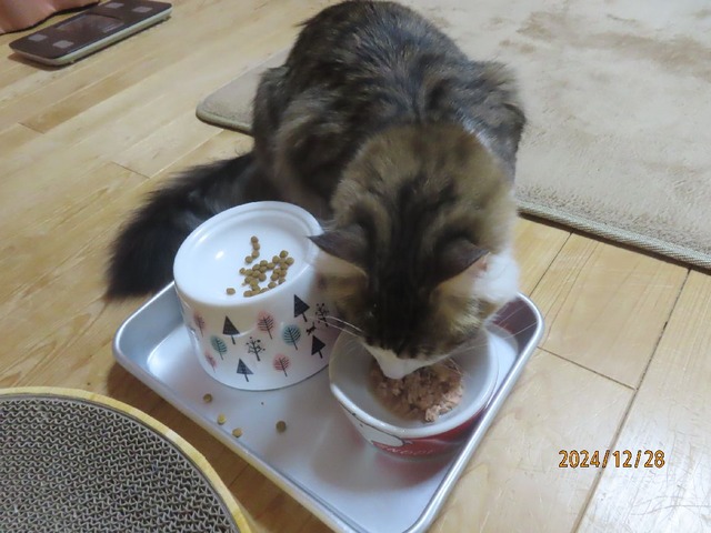 たま伝美味しい