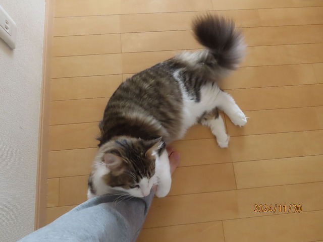 かみかみホールド②