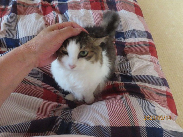 朝②どした?