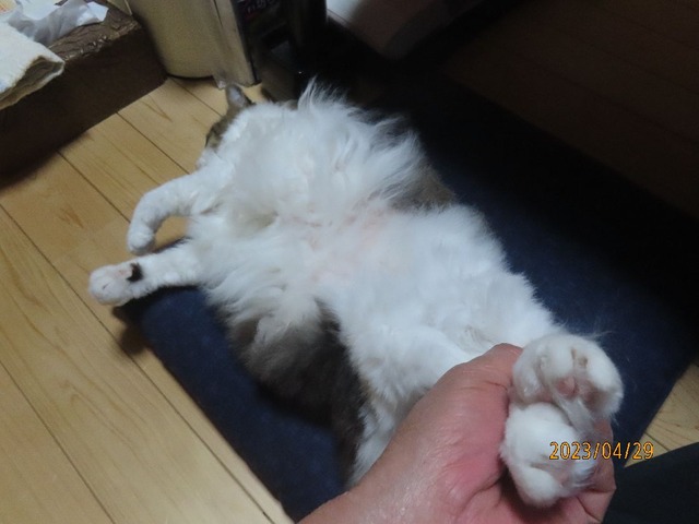 夜②足ギュッ