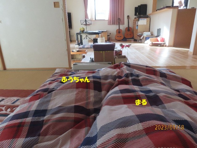 蒲団もぐり