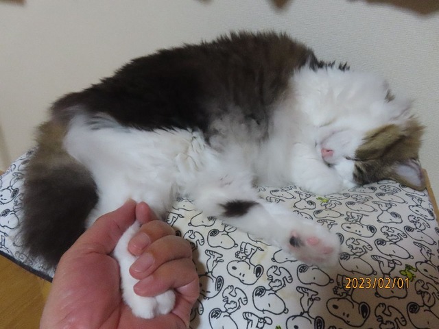足ぎゅっ
