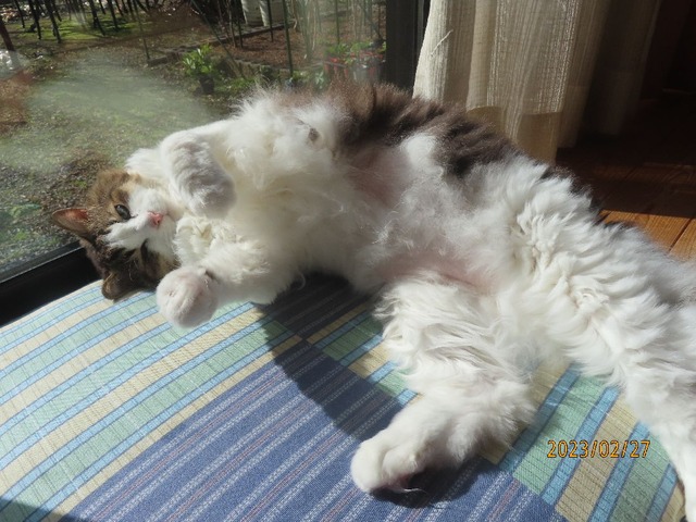 ふう「平気だよ」