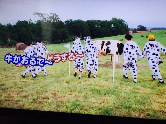 元気の出るcd 特典b感想 丸山くんをお慕いしてます
