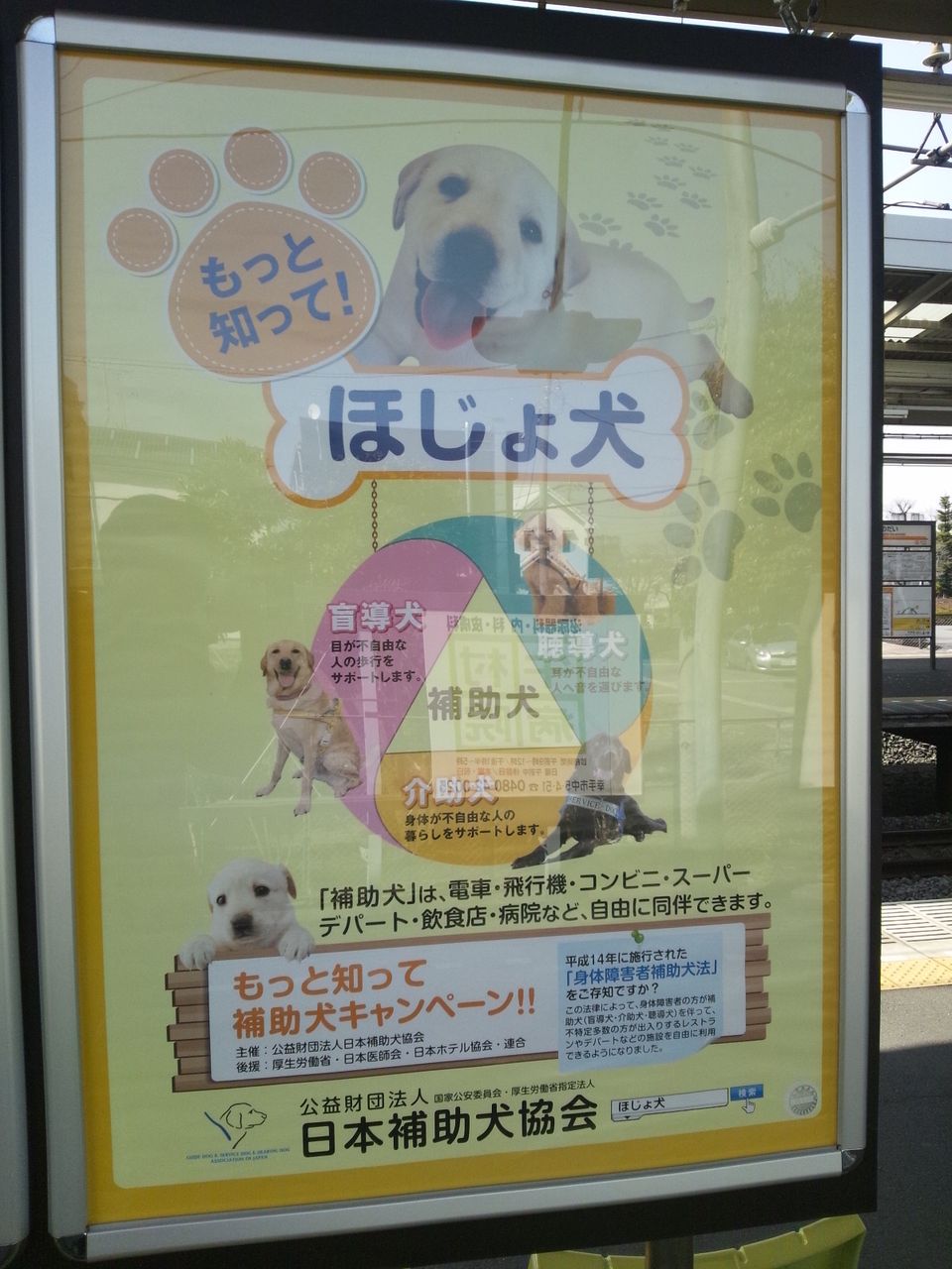 盲導犬だけでは無い 理系店長の車いすネット販売日記 ほぼ毎日更新 It Works 盲導犬だけでは無い 理系店長の車いすネット販売日記 ほぼ毎日更新 It Works