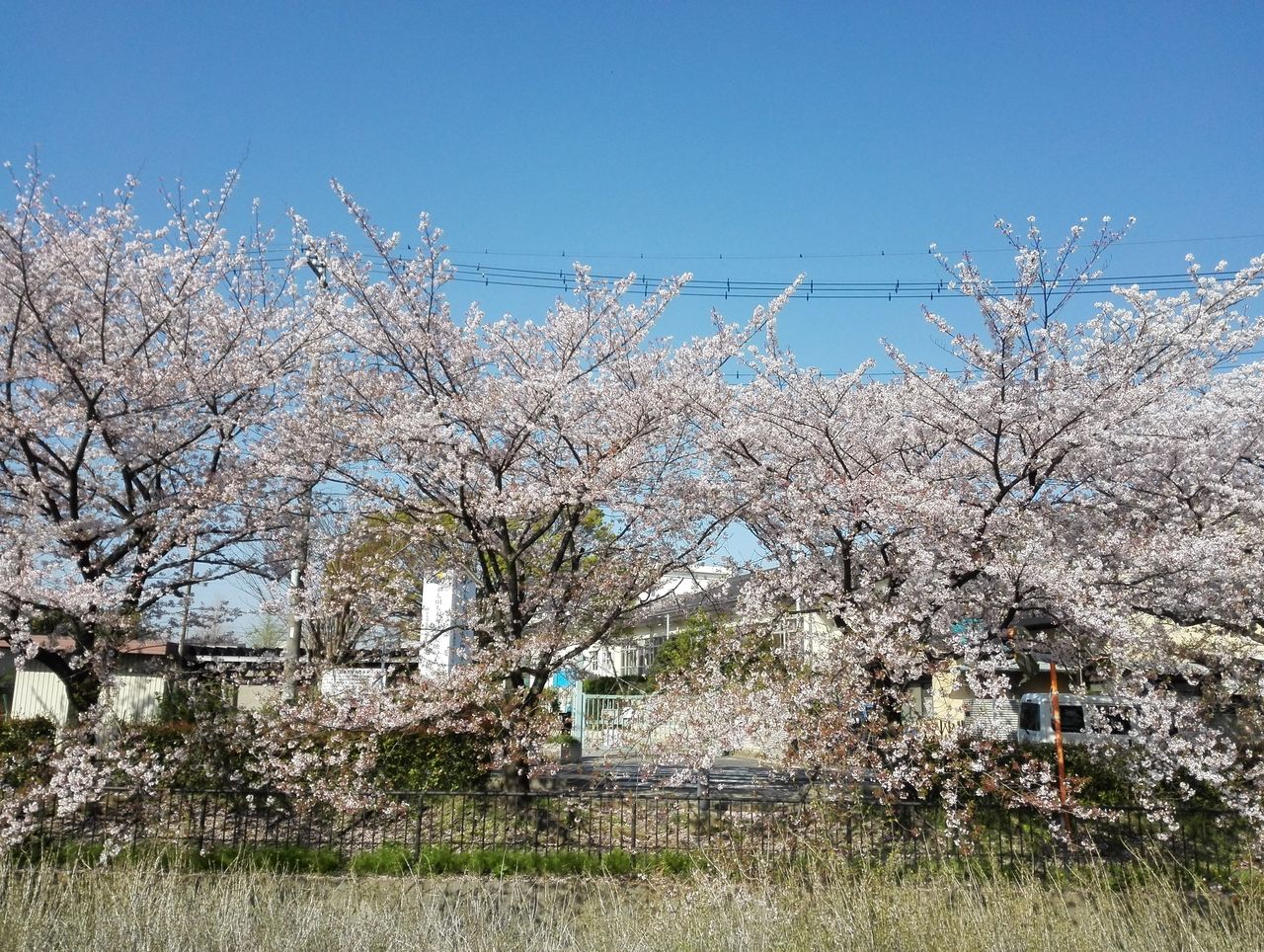 理系店長の車いすネット販売日記 理系店長の車いすネット販売日記