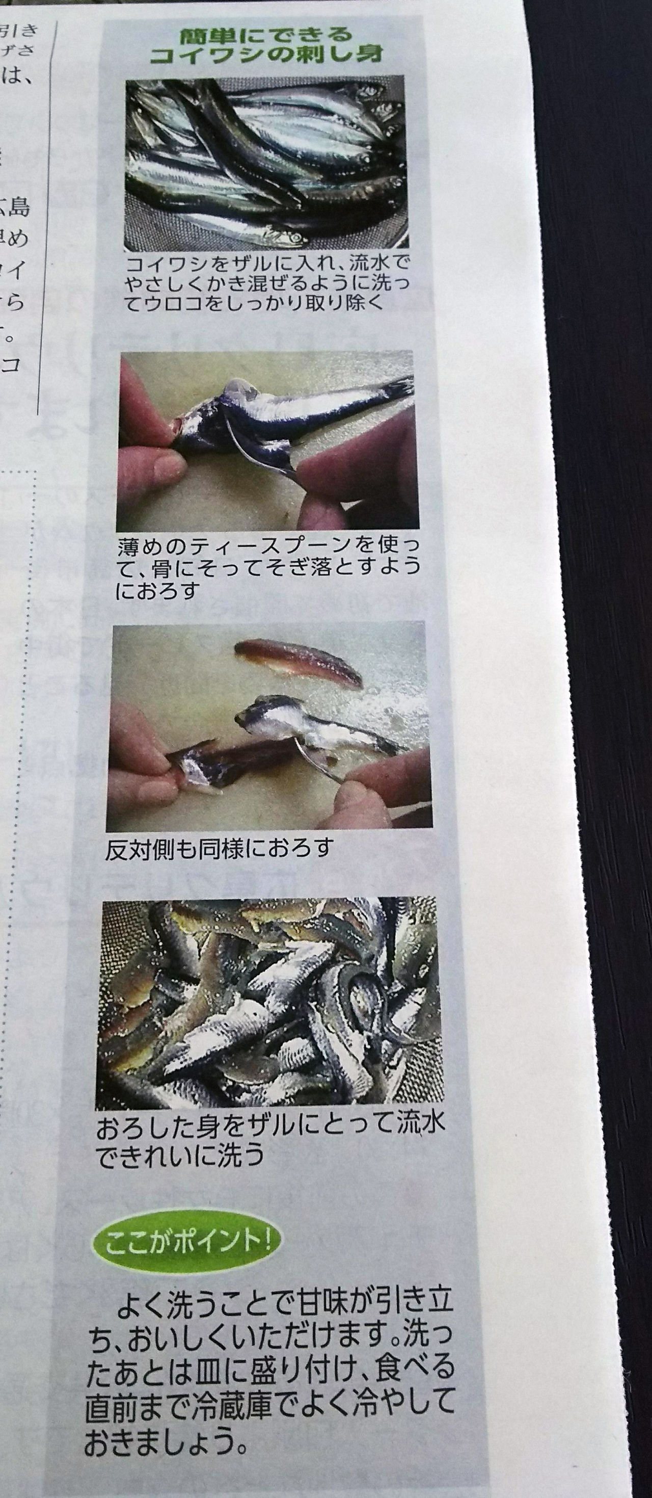 広島の夏の風物詩 先週 コイワシが解禁されました まるごとgo 広島市安佐南区 安佐北区あたりの地域情熱ブログ
