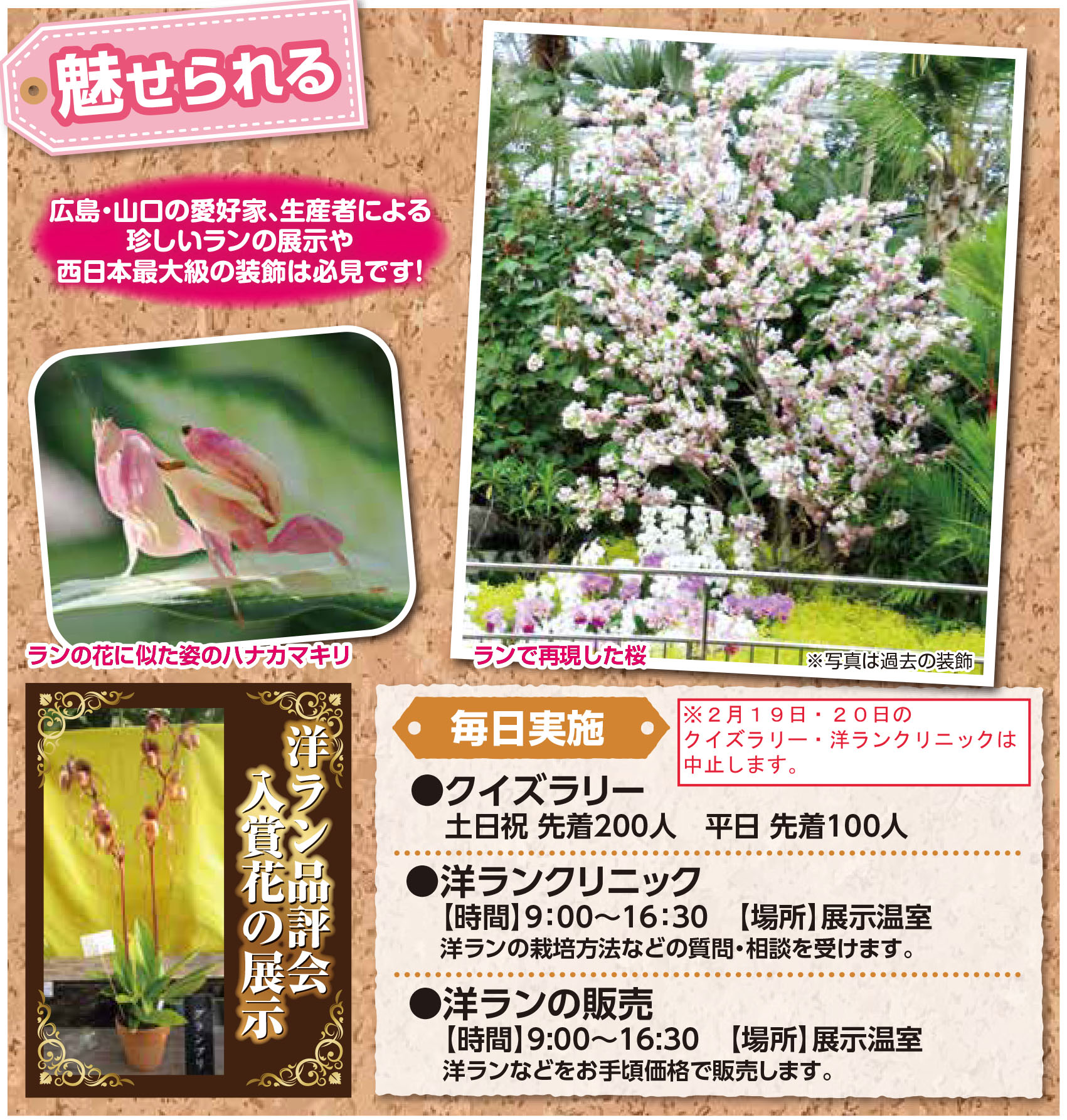 みなさん知ってた 実は 広島市植物公園 は開園していた 2 19 土 より 豪華なランがド派手に装飾される 春の特別ラン展 を開催 まるごとgo 広島市安佐南区 安佐北区あたりの地域情熱ブログ みなさん知ってた 実は 広島市植物公園 は開園していた 2 19 土 より 豪華なランがド派手に装飾される 春の特別ラン展 を開催 まるごとgo 広島市安佐南区 安佐北区あたりの地域情熱ブログ