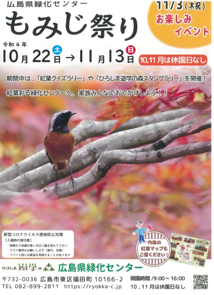 ryokka_momiji_20221103_01