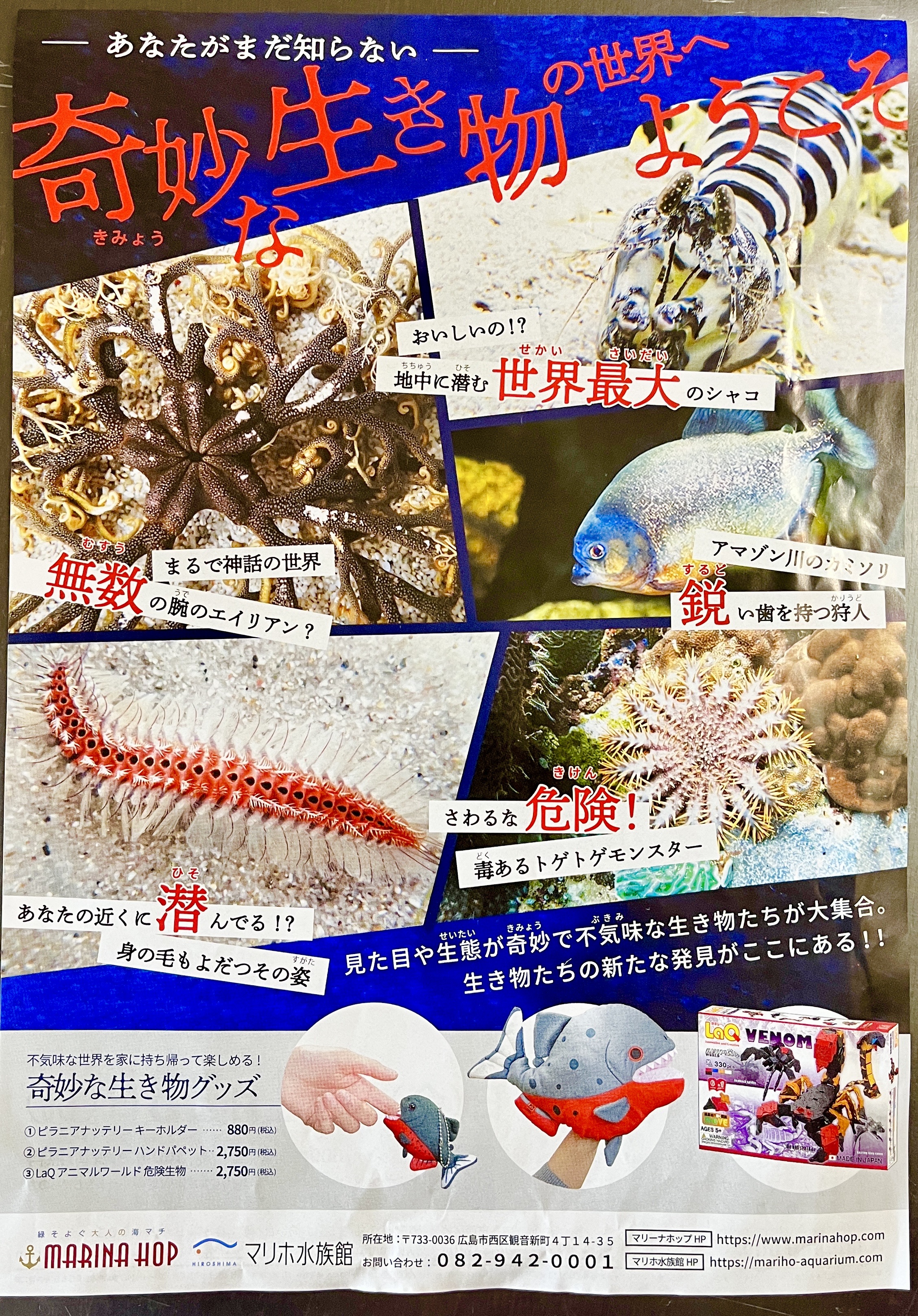 6 17からスタート マリホ水族館で 世にも奇妙な生き物たち という企画展が始まるみたい 見た目や形態 生態が奇妙 不気味な生き物たちが大集合 11 23まで まるごとgo 広島市安佐南区 安佐北区あたりの地域情熱ブログ 6 17からスタート マリホ水族館で 世にも奇妙な生き物たち という企画展が始まるみたい 見た目や形態 生態が奇妙 不気味な生き物たちが大集合 11 23まで まるごとgo 広島市安佐南区 安佐北区あたりの地域情熱ブログ