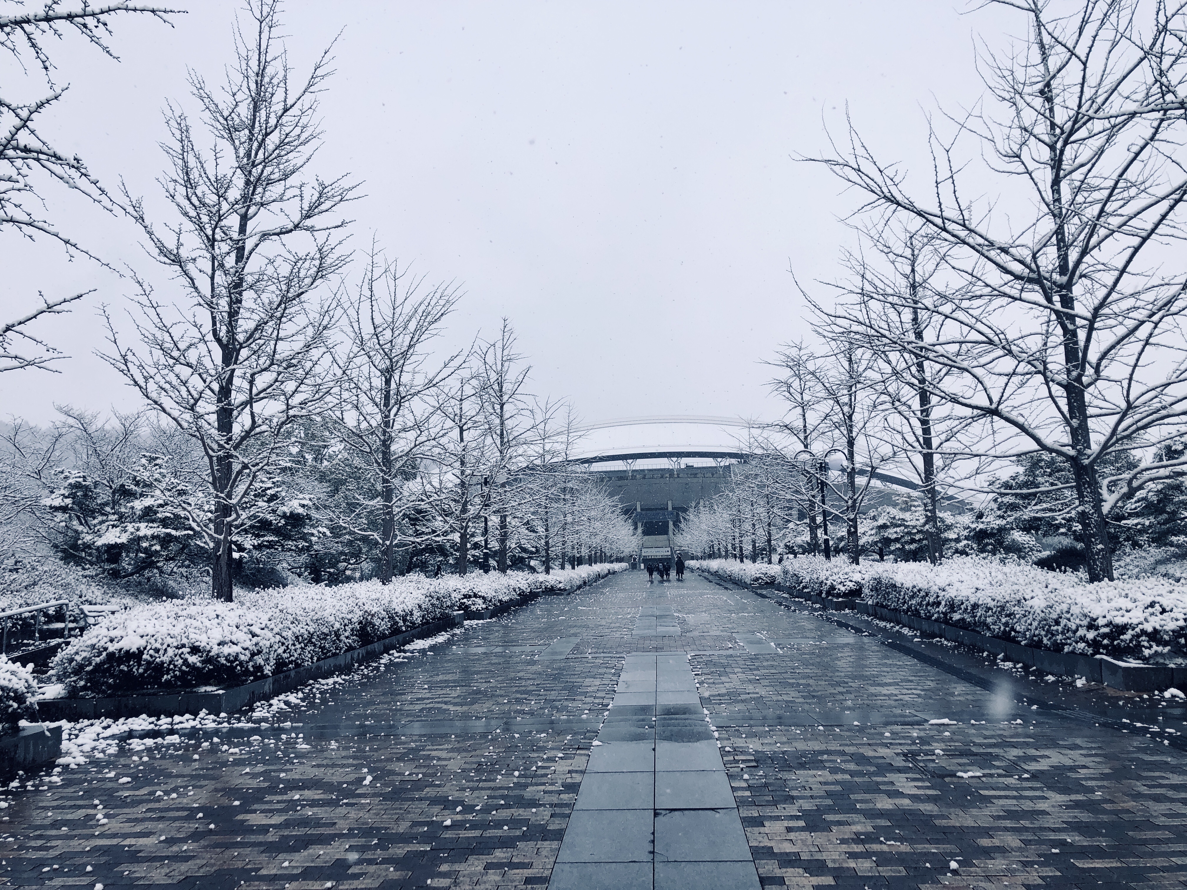 ご近所の安佐南区 安佐北区あたりも積雪だけど混乱はない感じ 天気予報は広島県の南部ではなく 北部を見た方が無難かも まるごとgo 広島市安佐南区 安佐北区あたりの地域情熱ブログ ご近所の安佐南区 安佐北区あたりも積雪だけど混乱はない感じ 天気予報は広島県の南部ではなく 北部を見た方が無難かも まるごとgo 広島市安佐南区 安佐北区あたりの地域情熱ブログ