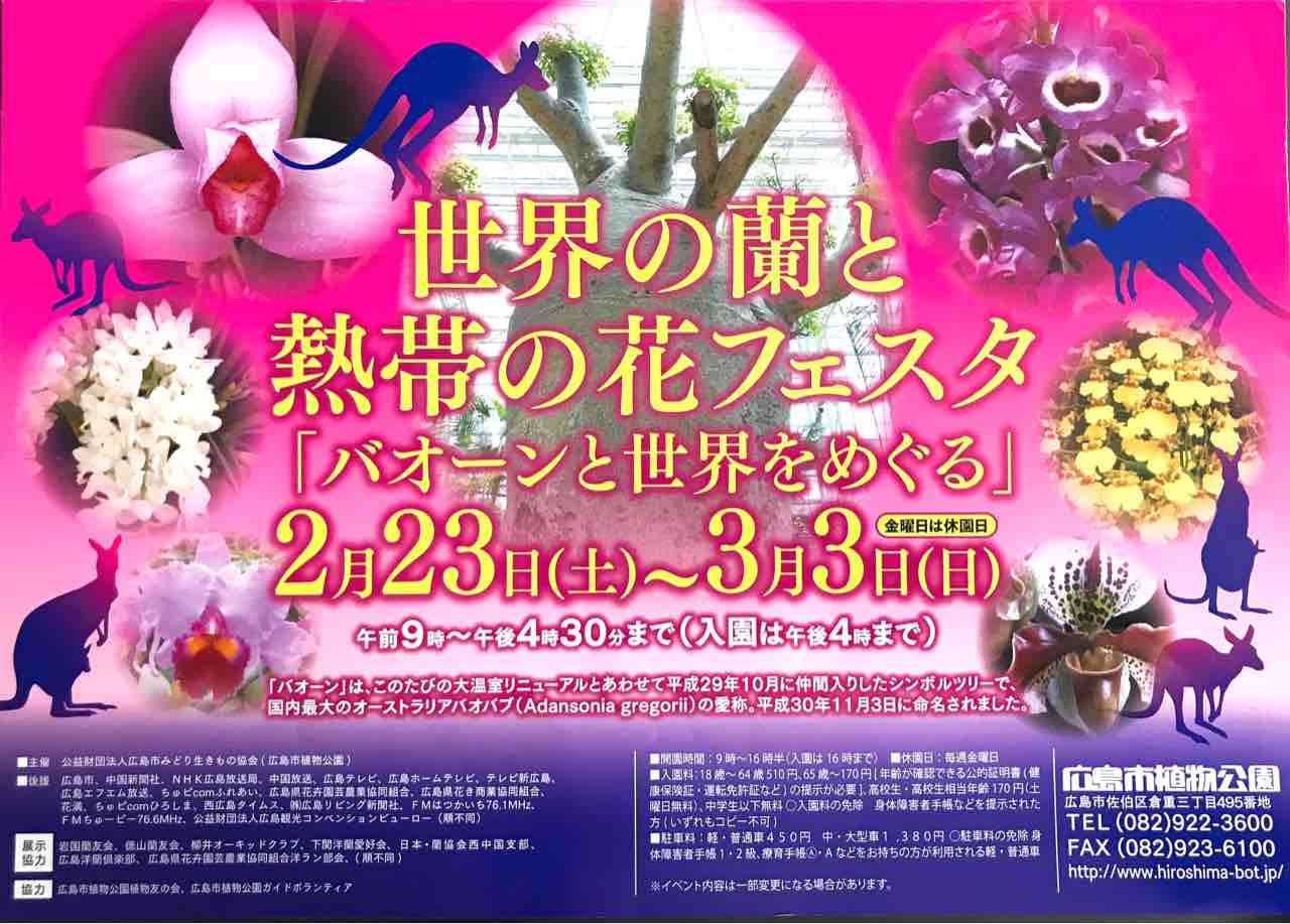 2月23日から 世界の蘭と熱帯の花フェスタ バオーンと世界をめぐる 開催 広島市植物公園にて まるごと安佐南 安佐北ブログ