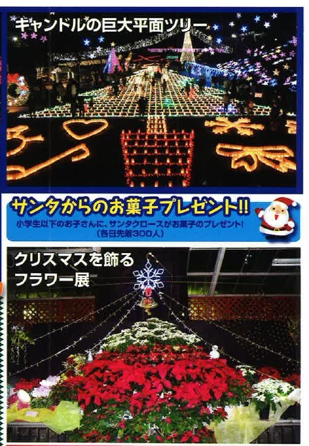 syokubutu_kouen3