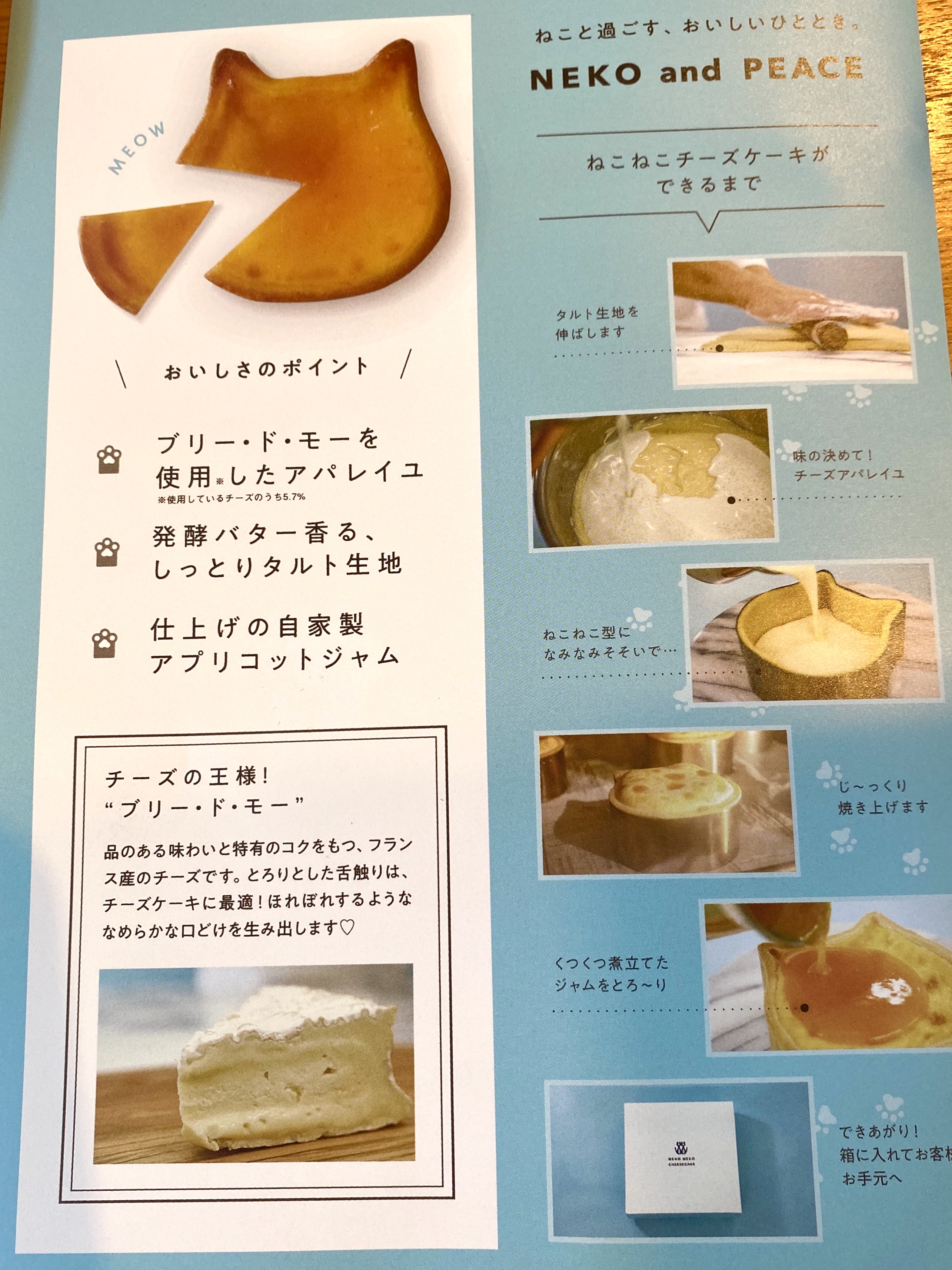 開店情報 ジアウトレット広島に Nekoneko Cheesecake がオープン 早速 食べてみた まるごとgo 広島市安佐南区 安佐北区あたりの地域情熱ブログ
