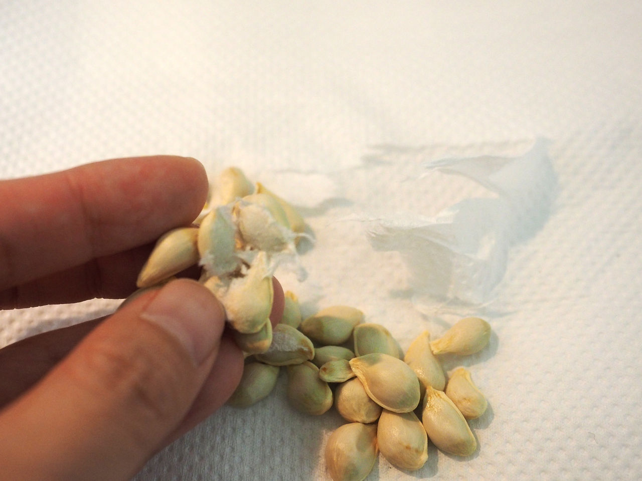 ゆずの種の使い方 実は簡単に化粧水がつくれるぞ ゆず活部 ゆずの種の使い方 実は簡単に化粧水がつくれるぞ ゆず活部
