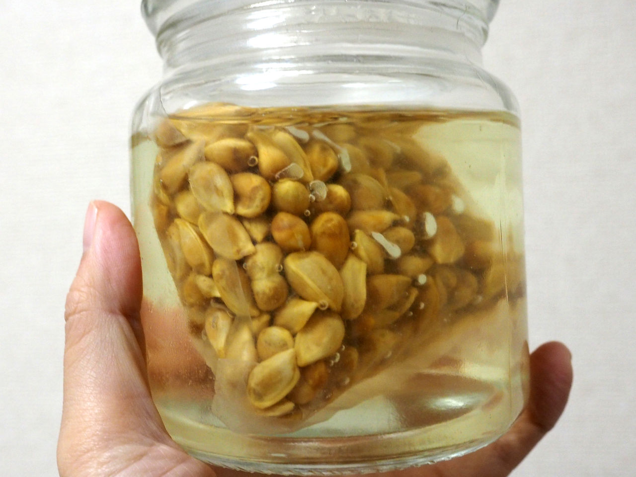 ゆずの種の使い方 実は簡単に化粧水がつくれるぞ ゆず活部 ゆずの種の使い方 実は簡単に化粧水がつくれるぞ ゆず活部